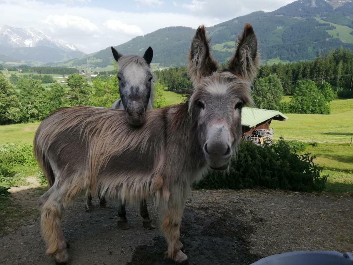 Oberstockinghof Hotel Saalfelden Buitenkant foto